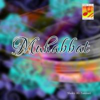 Dukhtar Sham-e-Bazara Shakir Ali Zamrani Song Download Mp3