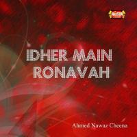 Sukh Paya Na Kise Ahmed Nawaz Cheena Song Download Mp3