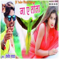 Pani Chhodave Saiya Sanjeet Yadav Song Download Mp3