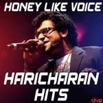 Nenape Nee Sundara (From"Nenape Nee Sundara") Haricharan,Sparsha RK,0.0 Song Download Mp3