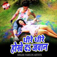 Dhire Dhire Hokhe Da Jawan Premnath Chauhan Song Download Mp3