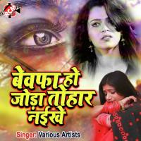 Bewafa Ho Joda Tohar Naikhe & Nilam Song Download Mp3