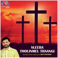 Sleeba Tholinmel Thangi Roy Puthur Song Download Mp3