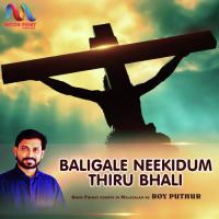 Baligale Neekidum Thiru Bhali Roy Puthur Song Download Mp3