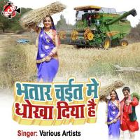 Pure Desh Hui Tabahi & Nilam Song Download Mp3