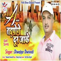 Karz Pita Ka Kaise Chukayega Diwakar Dwivedi Song Download Mp3