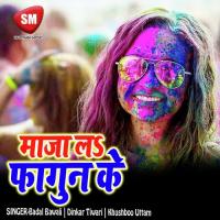 Phagun Me Pura Ham Khela Karem Shilpy Suman Song Download Mp3