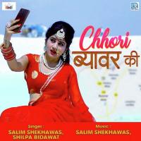 Chhori Beawar Ki Salim Shekhawas,Shilpa Bidawat Song Download Mp3