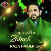 Hussain Ki Zainab Raza Haider UK Song Download Mp3