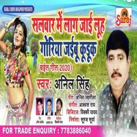 Salwar Mai Lag Jai Luh Punit Pukar Song Download Mp3