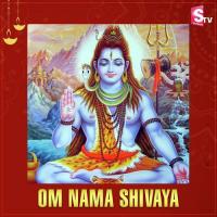 Om Nama Shivaya Nitya Santhoshini Song Download Mp3