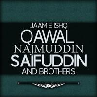 Husn Ko Hairat Se Qawal Najmuddin Saifuddin And Brothers Song Download Mp3