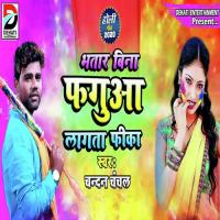 Bhatar Bina Fagua Lagata Fika Chandan Chanchal Song Download Mp3