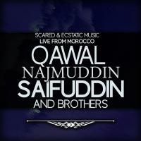 Ali Shah E Mardan (Live) Qawal Najmuddin Saifuddin And Brothers Song Download Mp3