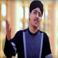 Aise Hote Hote Hain Nabi Ke Noker Muhammad Faizan Raza Song Download Mp3