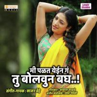 Tu Bolun Bagh Sajan Bendre Song Download Mp3