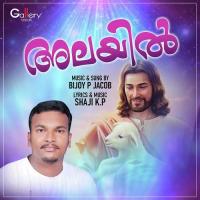 Alayilulayum Bijoy P. Jacob Song Download Mp3