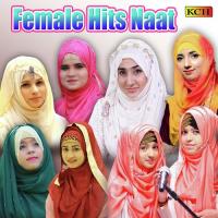 Halima Sadiya Umm E Ammara Song Download Mp3