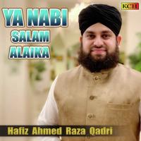 Ya Nabi Salam Alaika Hafiz Ahmed Raza Qadri Song Download Mp3