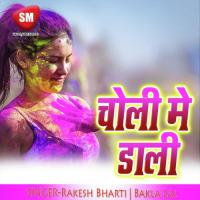 Bhitari Jad Lage Sunil Chhaila Bihari Song Download Mp3