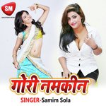 Teri Meri Gadi Accident Ho Na Jaaye Samim Sola Song Download Mp3