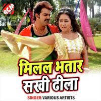 Ham Naikhe Ragi Dusara Se Hota Sadi Pawan Tiwari Song Download Mp3