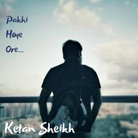 Pakhi Hoye Ore Ketan Sheikh Song Download Mp3