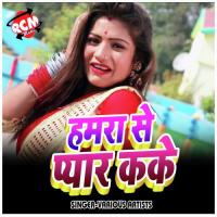 Raja Gauna Karake Gayila Alpana Sargam Song Download Mp3