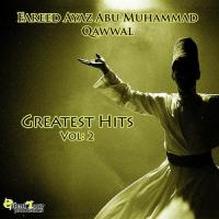 Khabare Tahayure Fareed Ayaz Abu Muhammad Qawwal Song Download Mp3