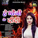 Jawaani Loot Jayi Ankit Rajput Song Download Mp3