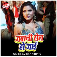 Dusra Se Karbu Viyah Re Basant Nk Song Download Mp3