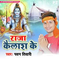 Sahara Baba Bani Jayihe (Kanwar Geet) Pawan Tiwari;Poonam Pandey Song Download Mp3