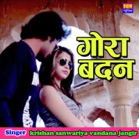 Gora Badan Krishan Sanwariya,Vandana Jangir Song Download Mp3