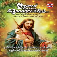 Idayanaay Neeyennum P. Jayachandran,Minimini Song Download Mp3