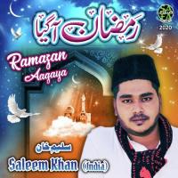 Ramazan Aagaya Saleem Khan Song Download Mp3