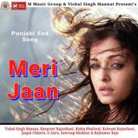 Meri Jaan Vishal Singh Mannat Song Download Mp3