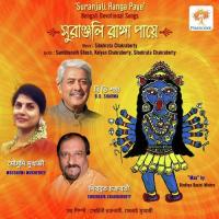 Kalighate Tui Maa Kali Sibobrata Chakraborty Song Download Mp3