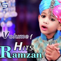 Wada Hai Mera Roza Rakhu Ga Muzammil Hassan Song Download Mp3