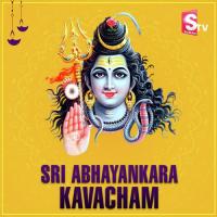 Sri Abhayankara Kavacham Nitya Santhoshini Song Download Mp3