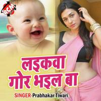 Fek Debu Pata Prakash Jha Song Download Mp3