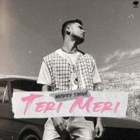 Teri Meri Mickey Singh Song Download Mp3