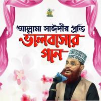 Allama Sayedeer Proti Valobashar Gan Allama Delwar Hossain Saydee Song Download Mp3