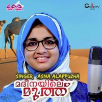 Kadhakettu Njan Asna Alappuzha Song Download Mp3