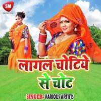 Khoje Laglu Bhatar Naya Vishal Sonkar Song Download Mp3