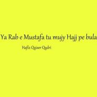 Ya Rab E Mustafa Tu Mujy Hajj Pe Bula Hafiz Qaiser Qadri Song Download Mp3