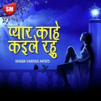 Hoi Gail Sadi Aso Shruti Rao;Rahul Mishra Song Download Mp3