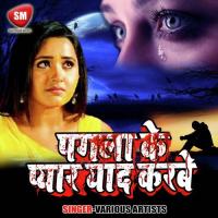 Bhatar Mana Kaile Ba Ham Nahi Deb Shruti Rao;Rahul Mishra Song Download Mp3