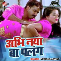 Lorwe Se Ankhiye Dhowata Alok Aashiq Song Download Mp3