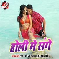 Holiya Me Paicha Bhatar Roshan Lal Yadav Song Download Mp3