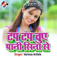 Sasura Me Mahakta Hamro Bhatar Nagendra Lal Yadav Song Download Mp3